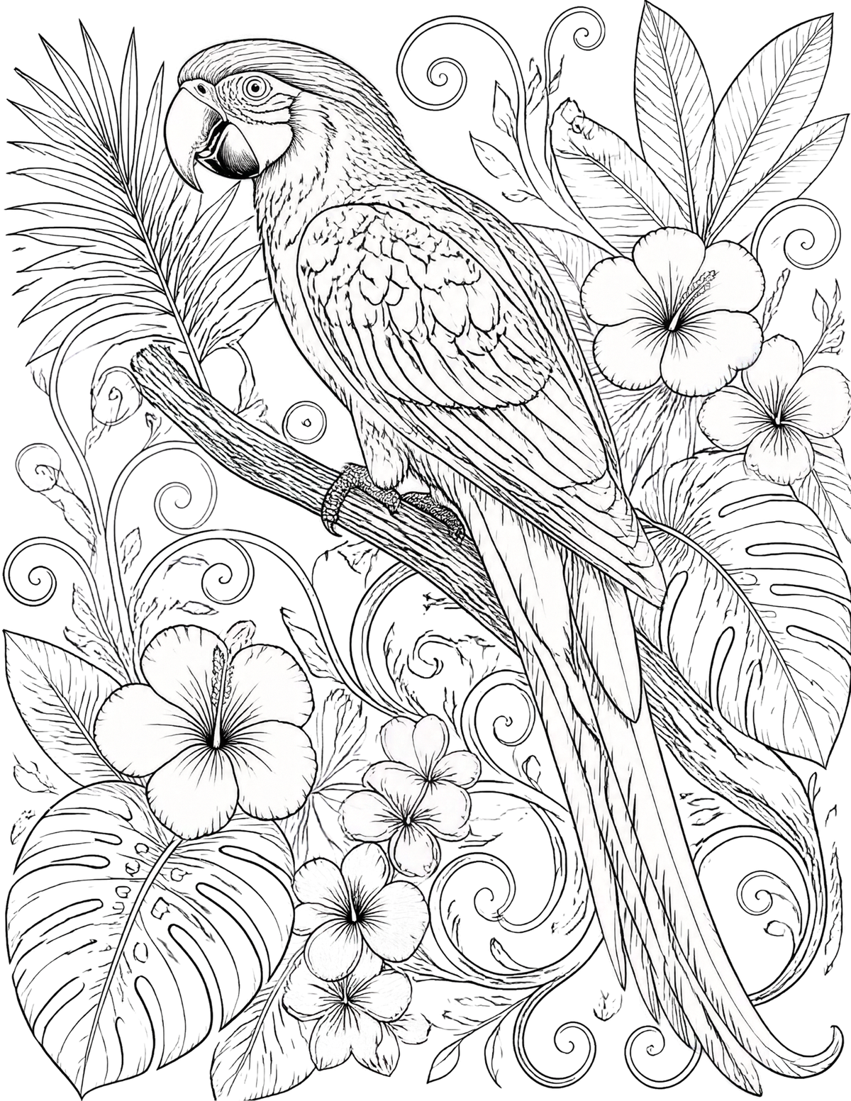 Tropical Birds Coloring Bundle | 5 Printable PDF Pages