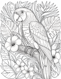 Parrot in Paradise Coloring Page | Printable PDF
