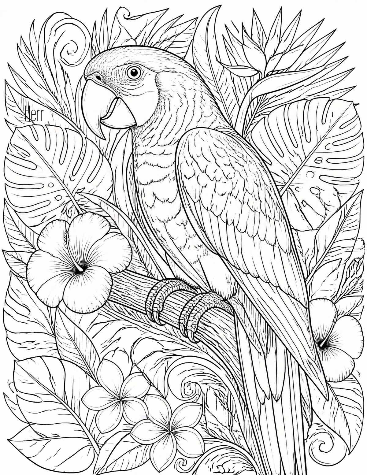 Parrot in Paradise Coloring Page | Printable PDF